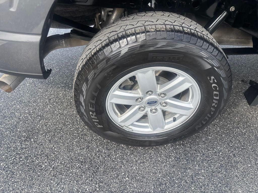 2024 Ford F-150 XL