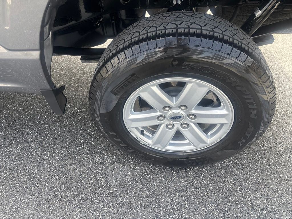 2024 Ford F-150 XL