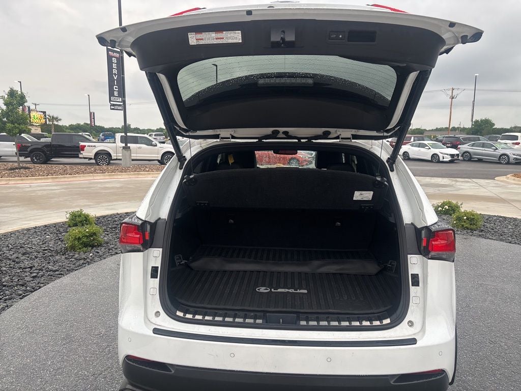 2021 Lexus NX 300 F Sport